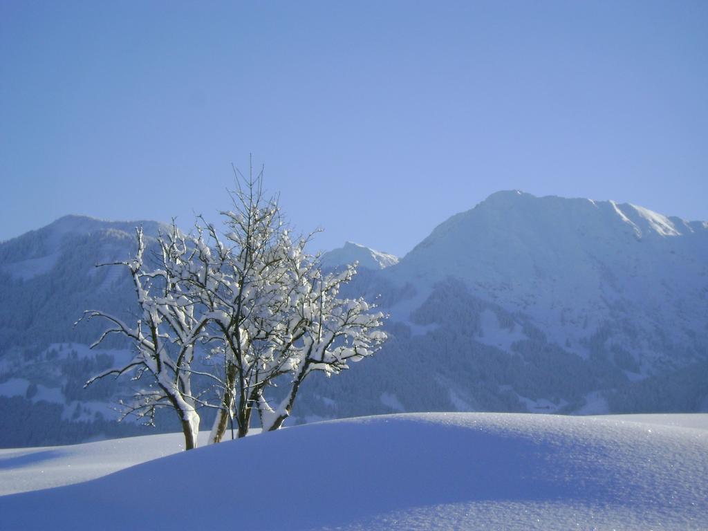 Landhaus Berktold Obermaiselstein Exteriér fotografie