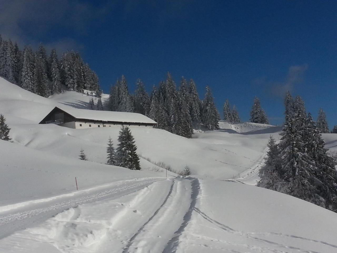 Landhaus Berktold Obermaiselstein Exteriér fotografie